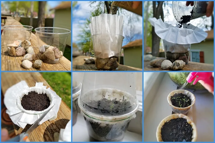 Build Your Own Terrarium and Monitor Water Quality