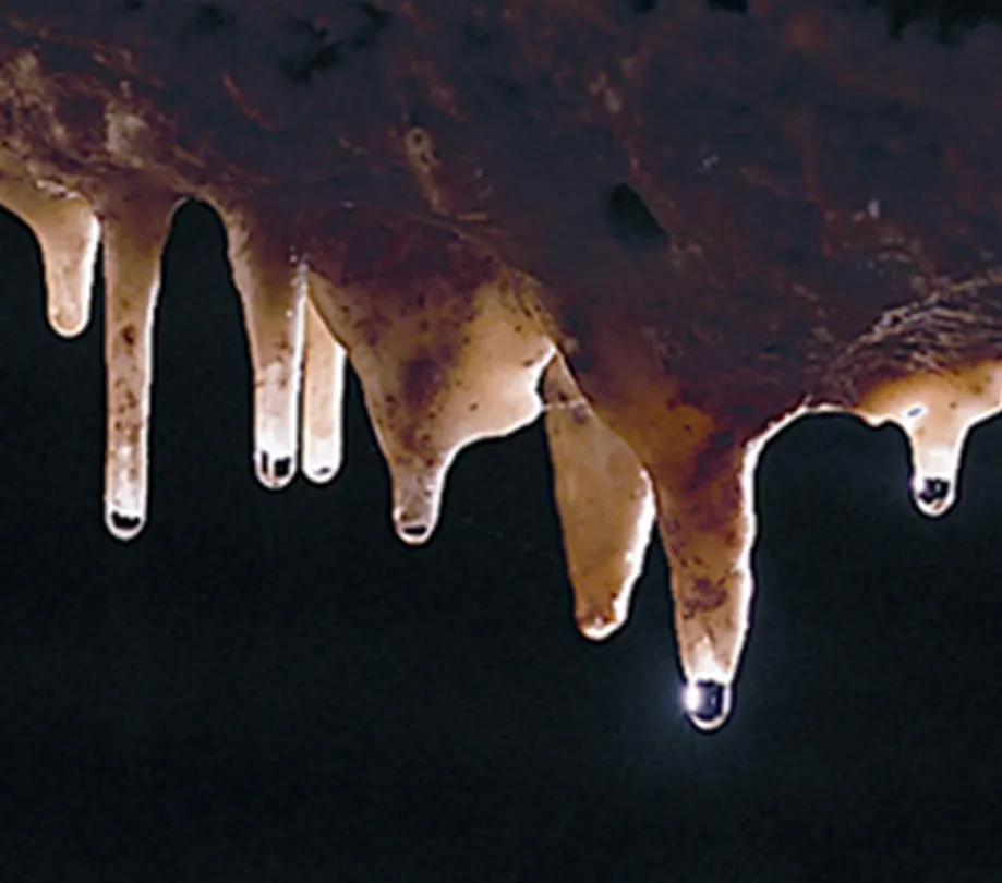 Fantastic Caverns upgrades to LED lighting