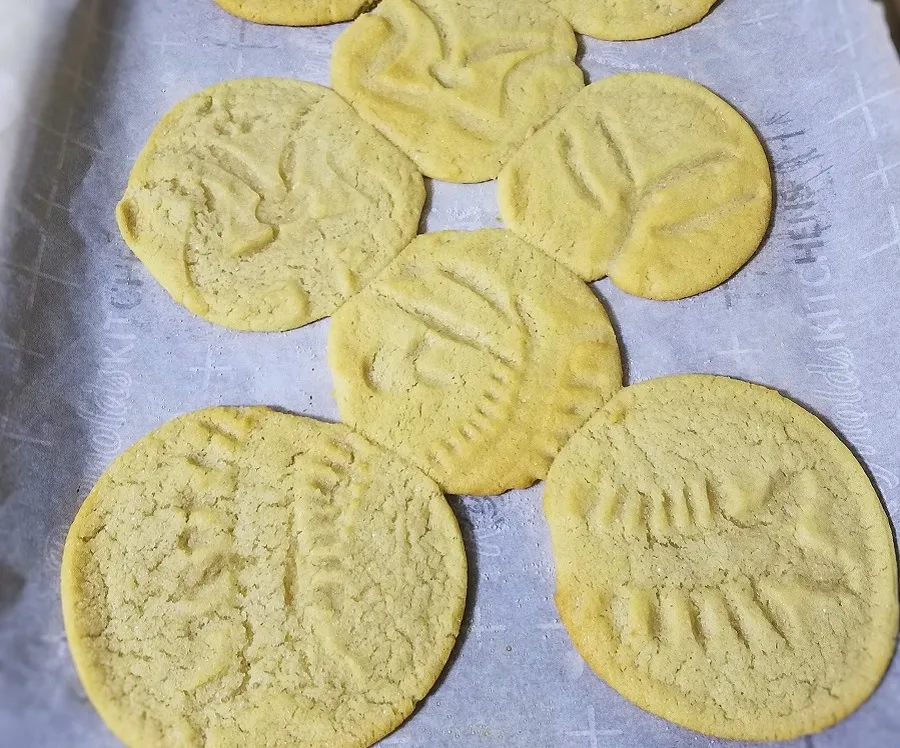 Make Your Own Limestone Fossil Sugar Cookies