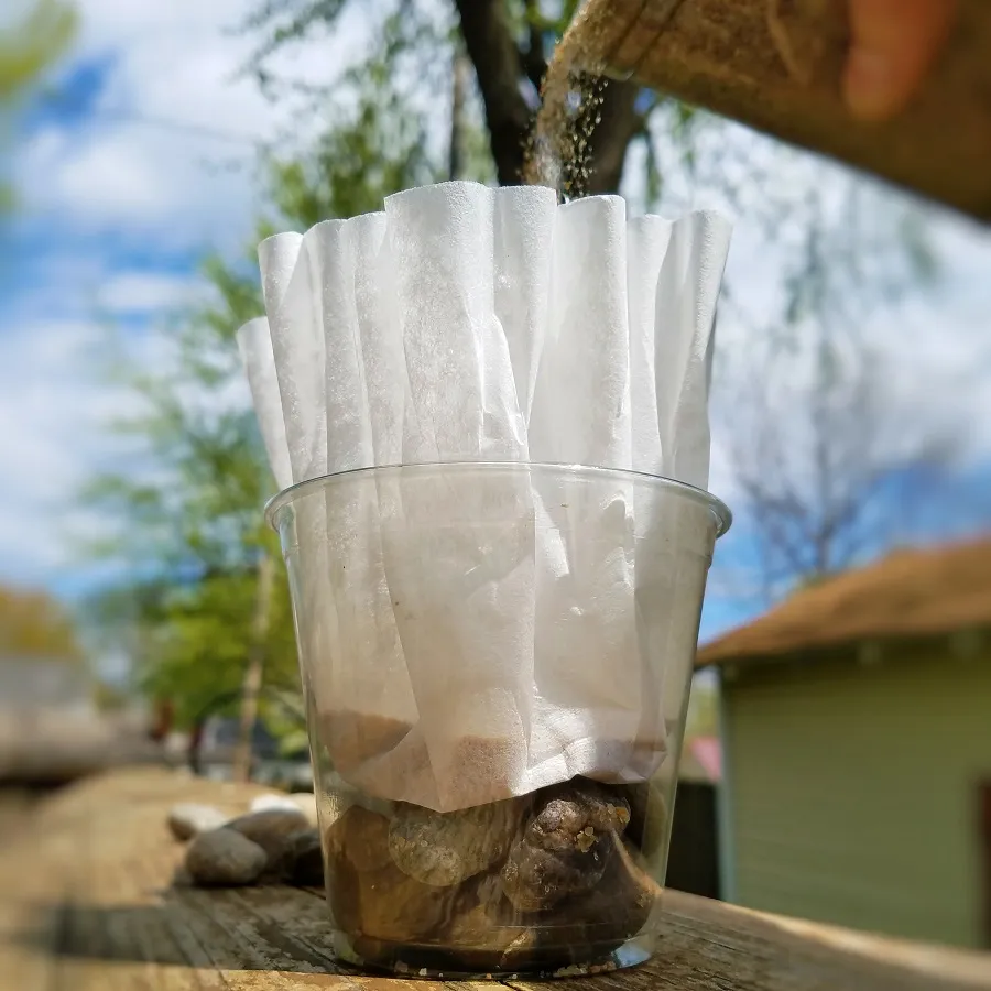 Creating the layers of sediment for your aquifer in a cup