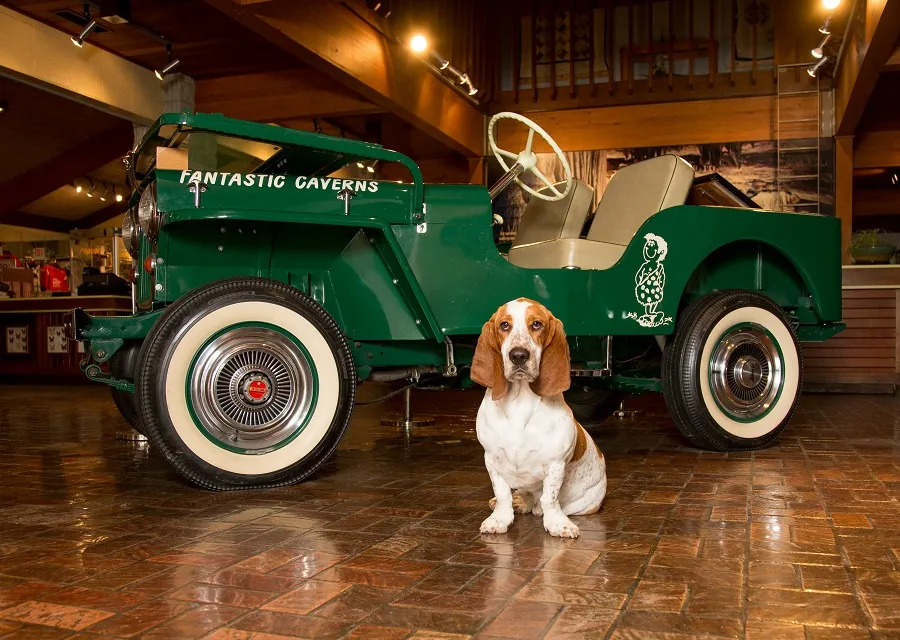 Dog by First Jeep at Fantastic Caverns Pet Friendly