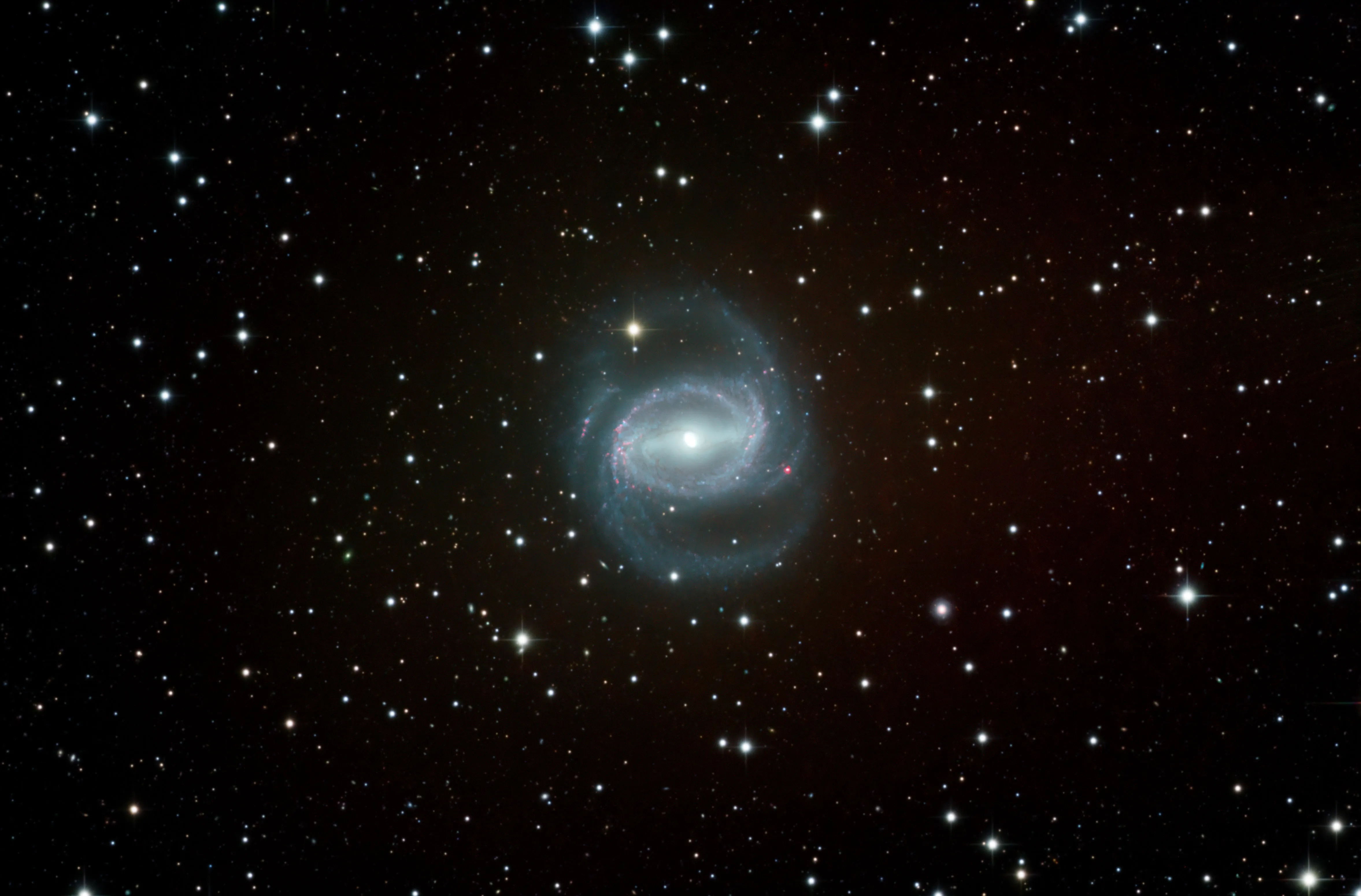 NGC 1433 Barred Spiral Galaxy in Horologium astrophoto with CDK24