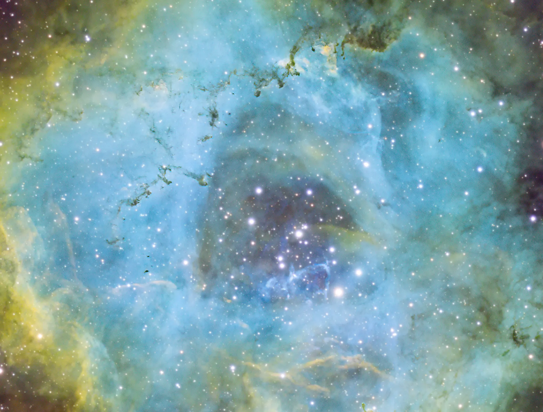 At the center of the Rosette Nebula is the open cluster NGC 2244.