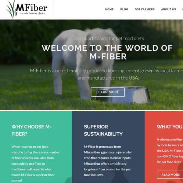 MFiber project screenshot