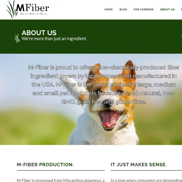 MFiber project screenshot 2
