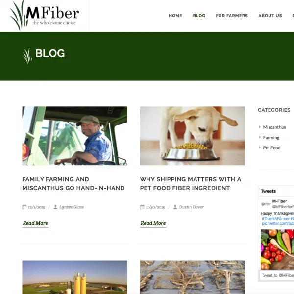 MFiber project screenshot 2