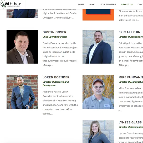 MFiber project screenshot 2
