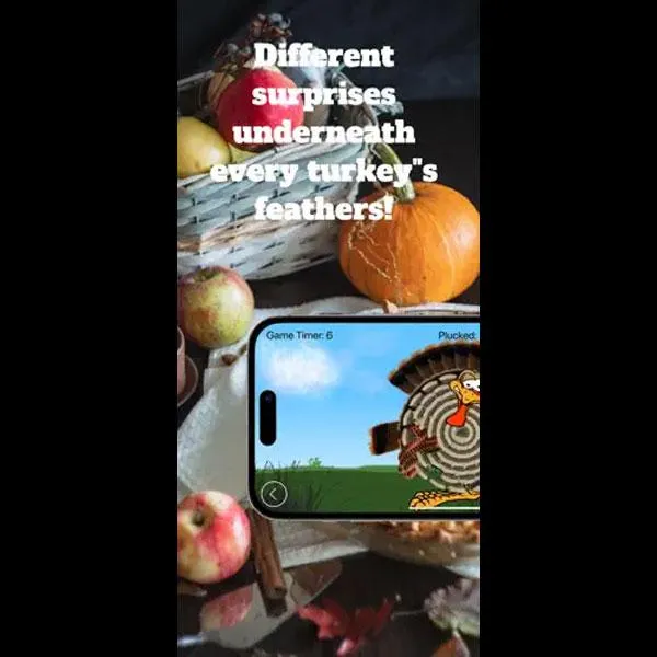 Turkey Plucker project screenshot 2