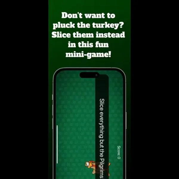Turkey Plucker project screenshot 3