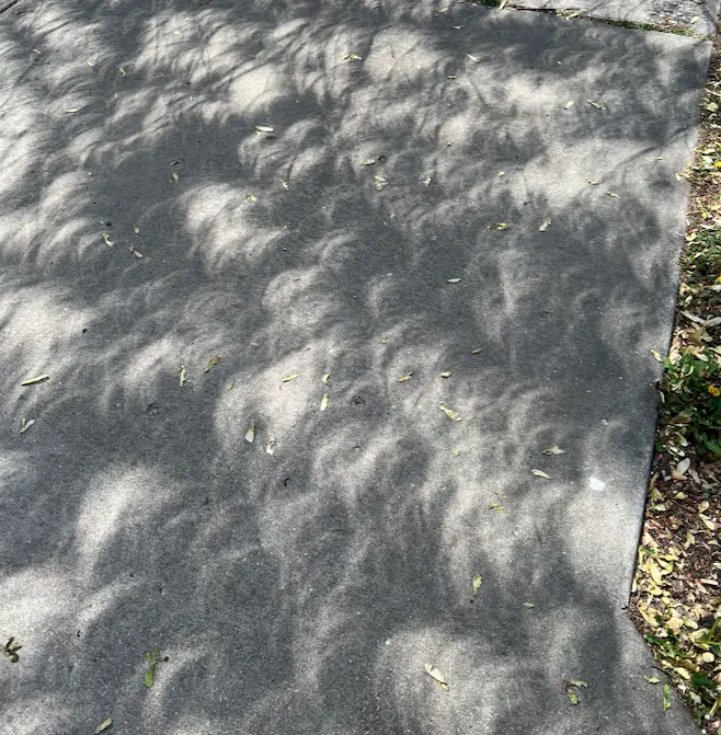 Tree shadows in Missouri during the solar eclipse of 2024, shot by Emily Bridenbaugh
