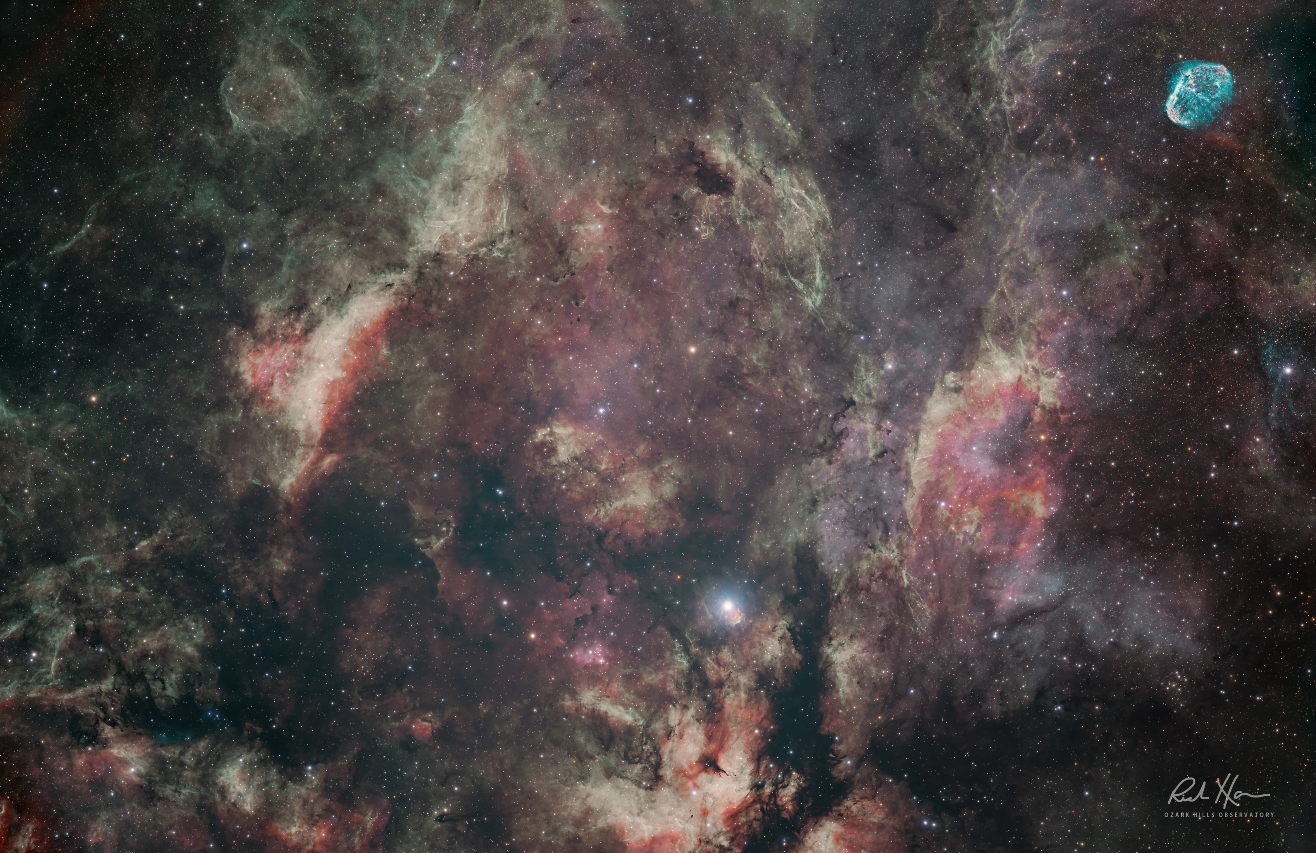 Crescent Nebula wide field with Takahashi FSQ-106-EDXIIII Richard Harris Astrophotographer Strafford Mo