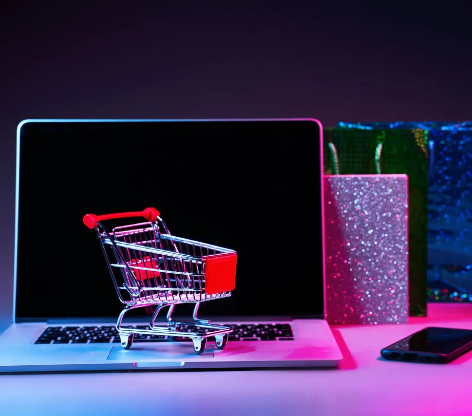 Shoppers using ecommerce search drive nearly half of online sales