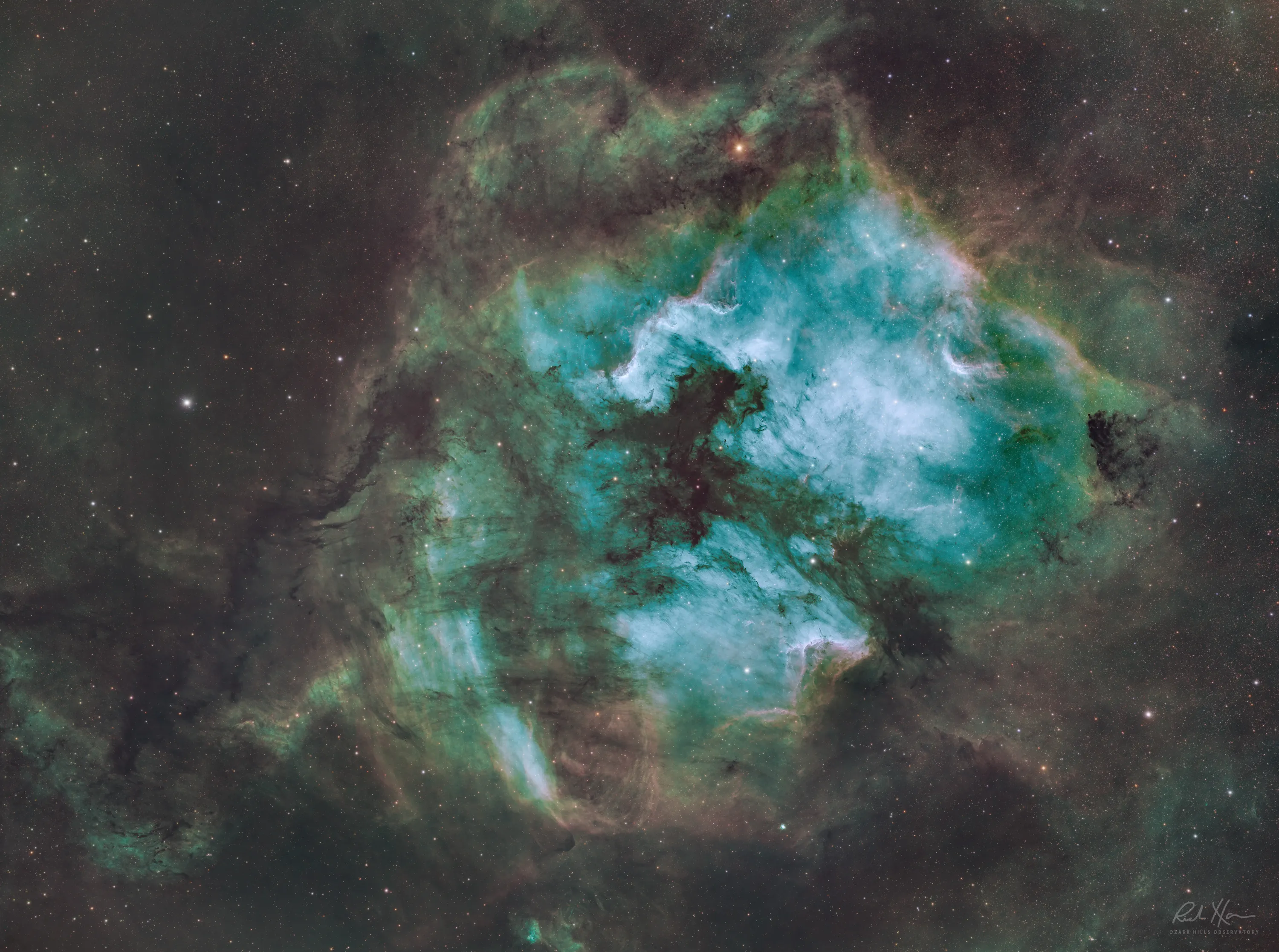 Best North American Nebula astrophotography by Richard Harris